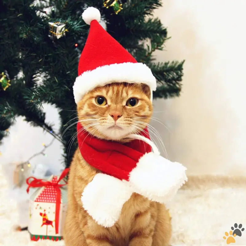 Cat Santa Hat Pet Costume - Christmas Hat and Scarf - Cat Santa Hat with Scarf Christmas Hats for Cats Small Dog Santa