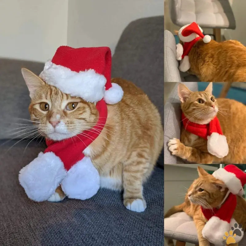 Cat Santa Hat Pet Costume - Christmas Hat and Scarf - Cat Santa Hat with Scarf Christmas Hats for Cats Small Dog Santa