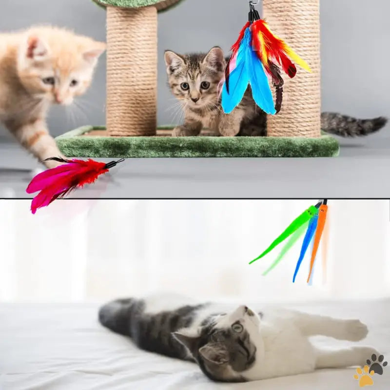 Retractable Cat Wand Toy with Refills - Colora - Cat Toy Wand Retractable Cat Feather Toys and Replacement Refills