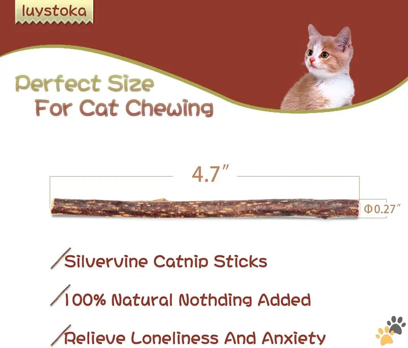 Silvervine Sticks Cat Toys - 10pcs - Cat Toys Silvervine for Cats Cat Chew Stick Catnip Toys Matatabi Silvervine Sticks