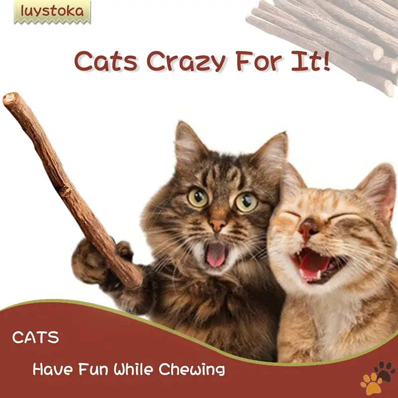 Silvervine Sticks Cat Toys - 10pcs - Cat Toys Silvervine for Cats Cat Chew Stick Catnip Toys Matatabi Silvervine Sticks