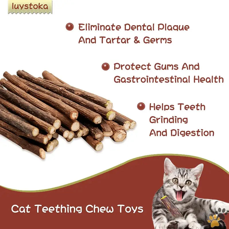 Silvervine Sticks Cat Toys - 10pcs - Cat Toys Silvervine for Cats Cat Chew Stick Catnip Toys Matatabi Silvervine Sticks