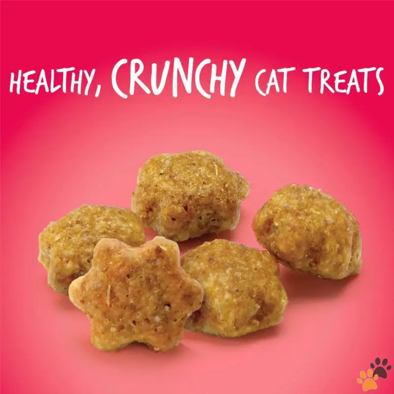 Salmon Cranberry Cat Treats - Salmon Cranberry / 2.5 Ounce (pack of 1) - Cat Treats – Crunchy Treats for Cats –