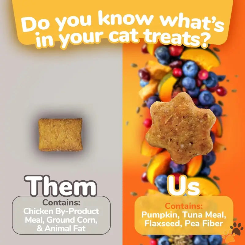 Tuna Pumpkin Cat Treats - Tuna Pumpkin / 2.5 Ounce (pack of 1) - Cat Treats – Crunchy Treats for Cats – Healthy Low