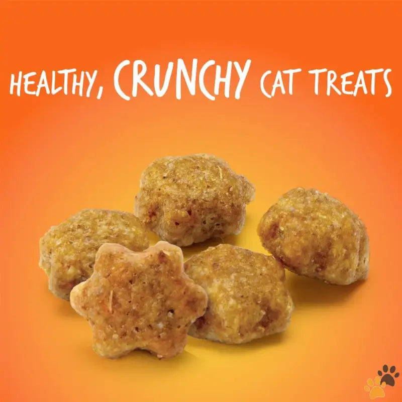 Tuna Pumpkin Cat Treats - Tuna Pumpkin / 2.5 Ounce (pack of 1) - Cat Treats – Crunchy Treats for Cats – Healthy Low