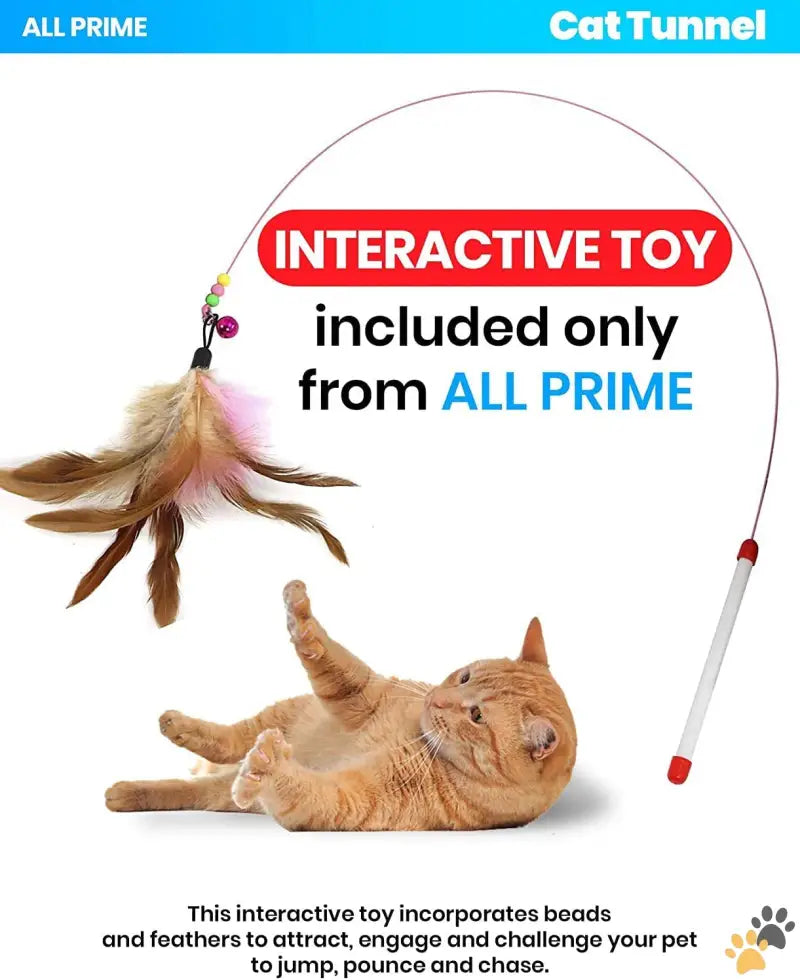 Interactive Cat Toy Alternatively: Interactive Cat - Cat Tunnel - Also Included is a ($5 Value) Interactive Cat Toy