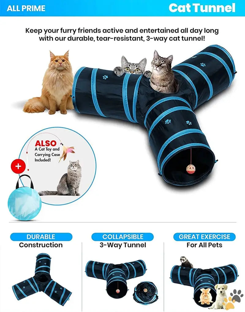 Interactive Cat Toy Alternatively: Interactive Cat - Cat Tunnel - Also Included is a ($5 Value) Interactive Cat Toy