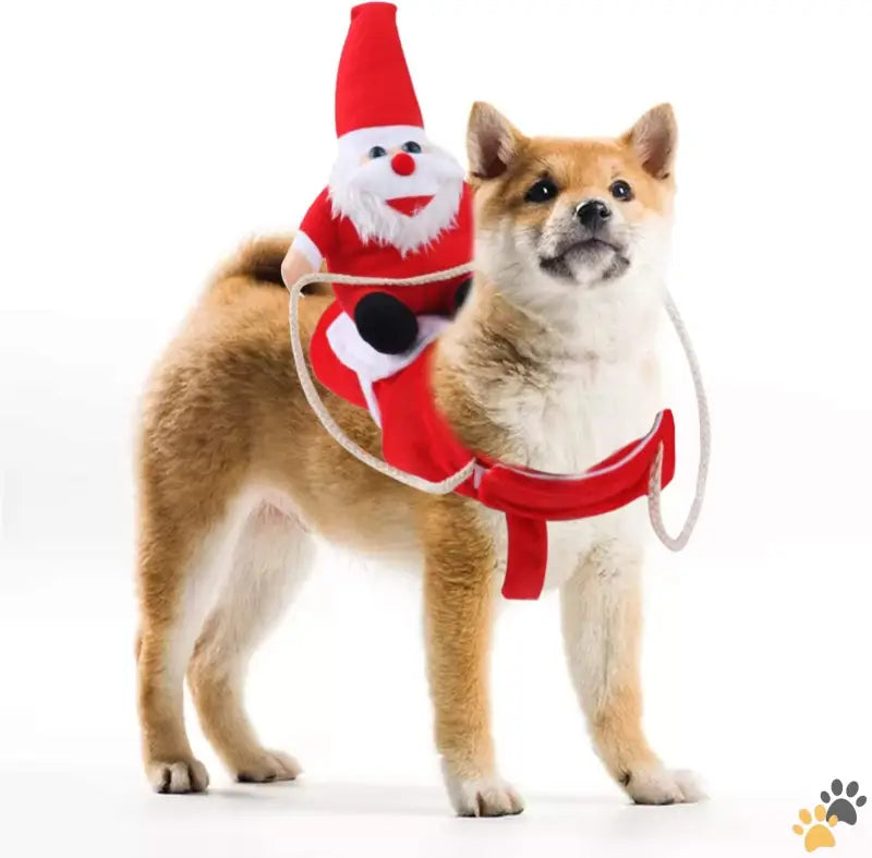 Christmas Dog Costume Easy Fit - Large - Clearance Christmas Dog Costume Funny Dog Christmas Santa Claus Costume Riding