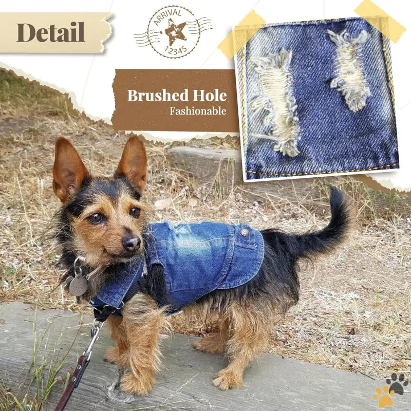 Dog Denim Jacket - Blue / Xs（suggest 2-4 Lbs） - Cool Blue Dog Jean Jacket Small Pet Outfits Dog Clothes for Small