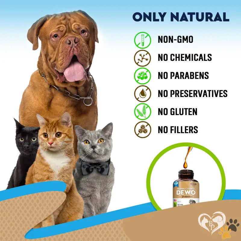 Natural Dewormer for Dogs & Cats - Dewormer for Dogs & Cats