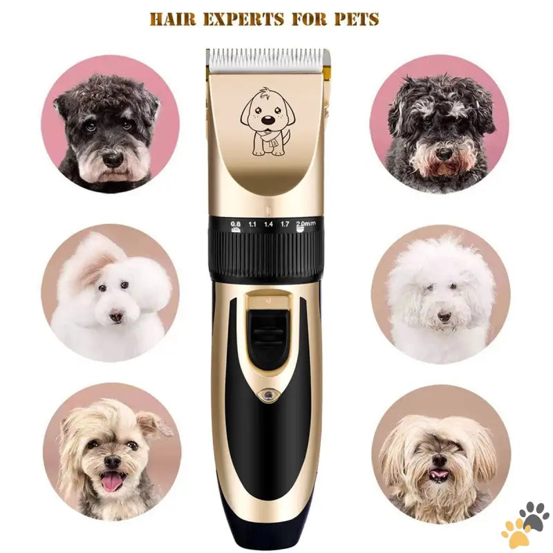 Ultra-quiet Dog Clippers Grooming Kit - Gold - Dog Clippers Cordless Dog Grooming Kit Professional Quiet Electric Pets