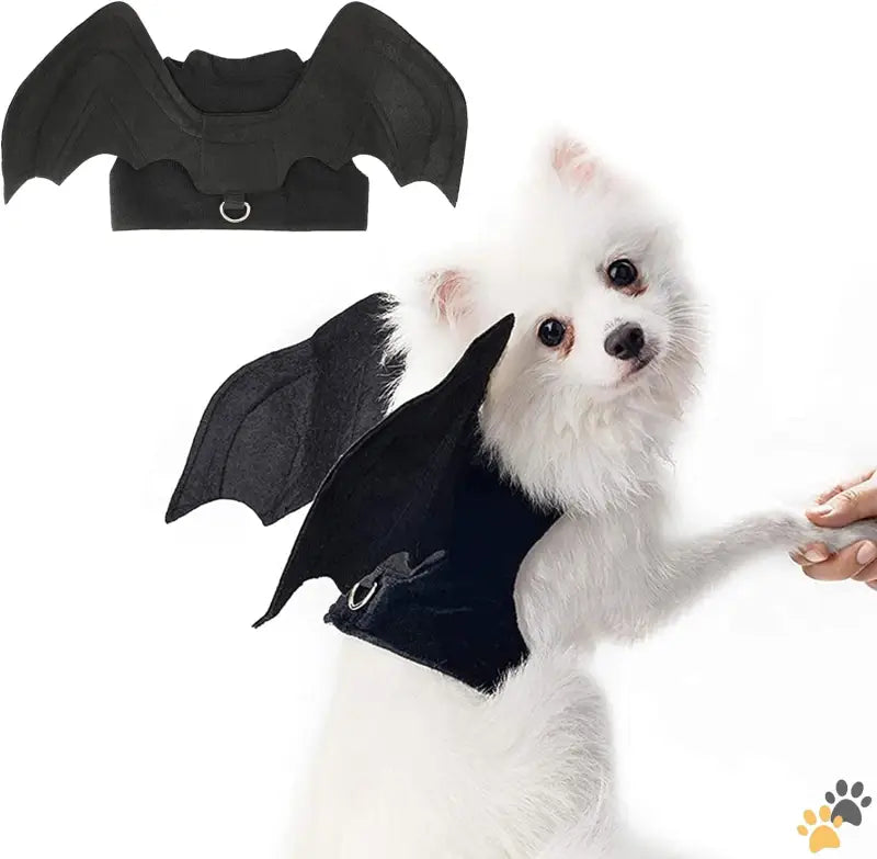 Halloween Cat Bat Wings Costume - Bat Wings / Medium - Dog Halloween Costume - Halloween Bat Wings Pet Costumes