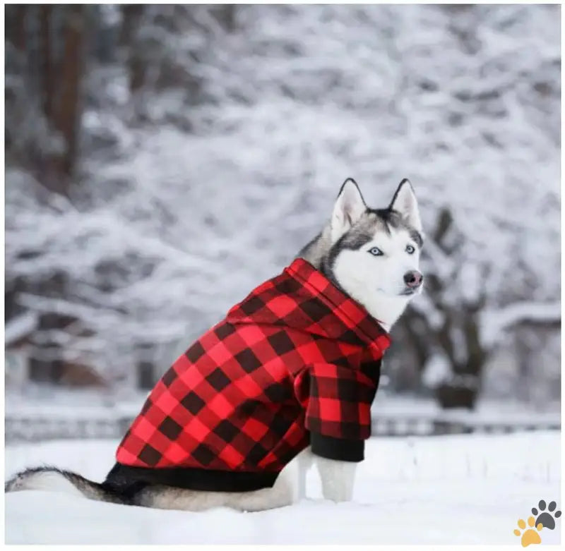 Dog Hoodie Sweatshirt Small Medium Dogs - m Plaid X1 - Dog Hoodie Sweatshirt Sweater for Extra Small Dogs Cat Puppy