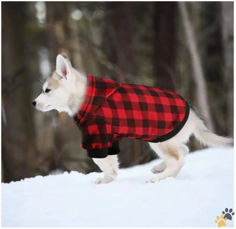 Dog Hoodie Sweatshirt Small Medium Dogs - m Plaid X1 - Dog Hoodie Sweatshirt Sweater for Extra Small Dogs Cat Puppy