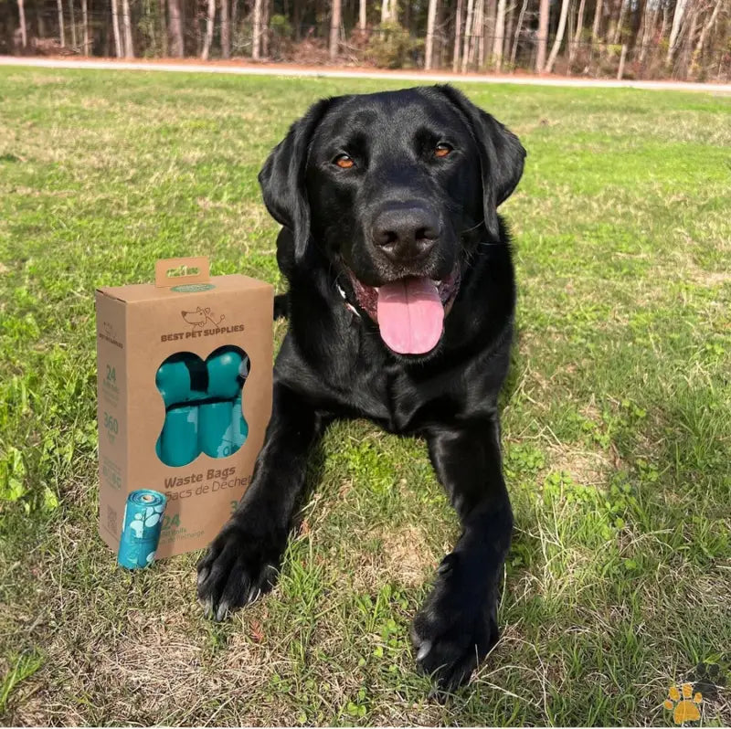 Heavy-duty Dog Poop Bags - Turquoise / 15 Count (pack of 24) - Dog Poop Bags (360 Bags) for Waste Refuse Cleanup Doggy