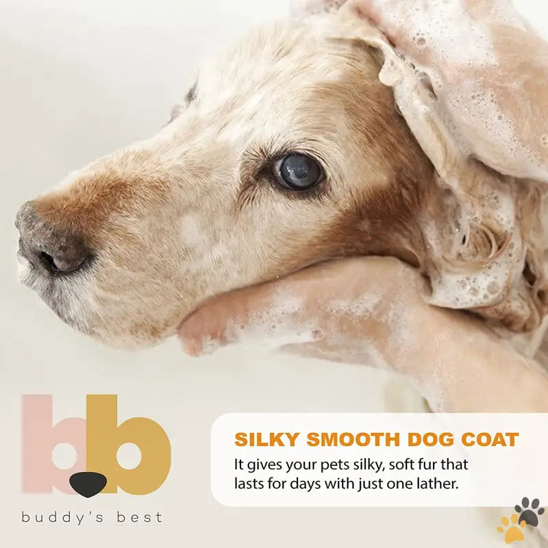 Buddy’s Best Dog Shampoo Sensitive Skin - Calming Lavender / 16 Fl Oz (pack of 1) - Dog Shampoo for Smelly Dogs