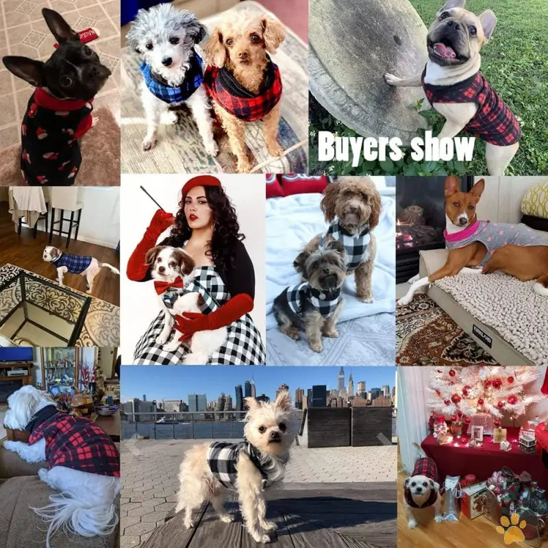 Soft Fleece Dog Sweater - Red Plaid / Small (pack of 1) - Dog Sweater Soft Fleece Vest with Leash Ring Pullover Jacket