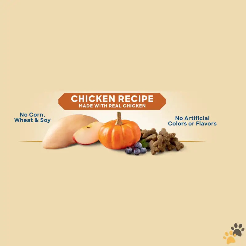 Golden Rewards Chicken Recipe Training Treats - 1 - Dog Training Treats with Real Chicken Recipe 9 Oz Pouch.