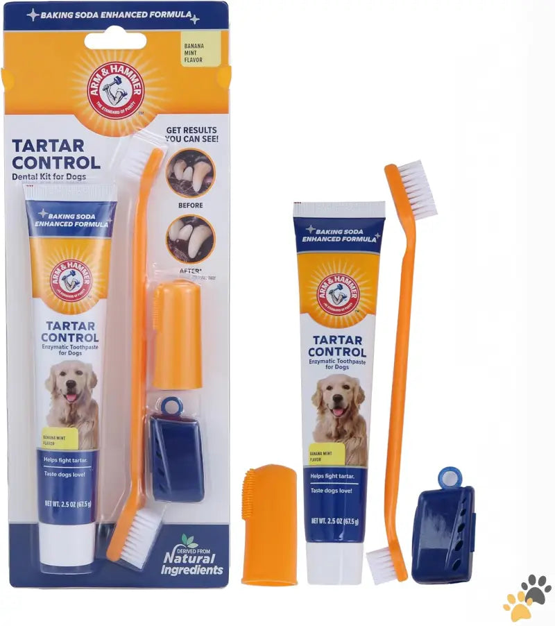 Arm & Hammer Dog Dental Kit - Banana Mint / 3 Piece Set - for Pets Tartar Control Kit for Dogs | Contains Toothpaste