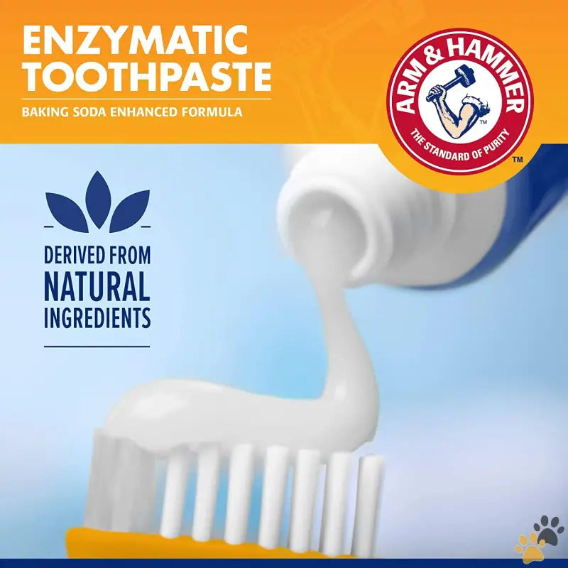 Arm & Hammer Dog Dental Kit - Banana Mint / 3 Piece Set - for Pets Tartar Control Kit for Dogs | Contains Toothpaste