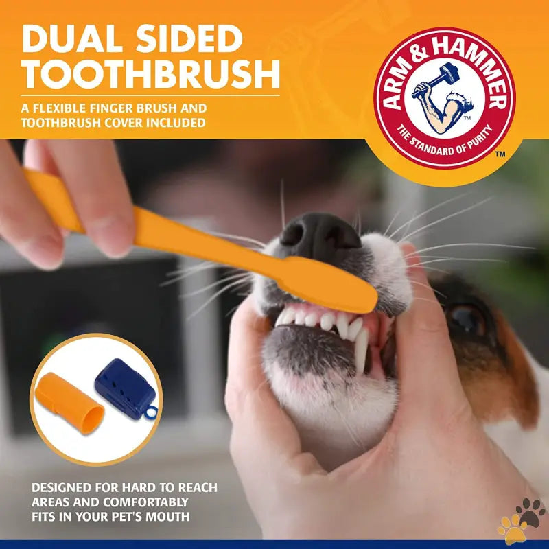 Arm & Hammer Dog Dental Kit - Banana Mint / 3 Piece Set - for Pets Tartar Control Kit for Dogs | Contains Toothpaste