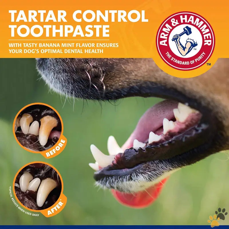 Arm & Hammer Dog Dental Kit - Banana Mint / 3 Piece Set - for Pets Tartar Control Kit for Dogs | Contains Toothpaste