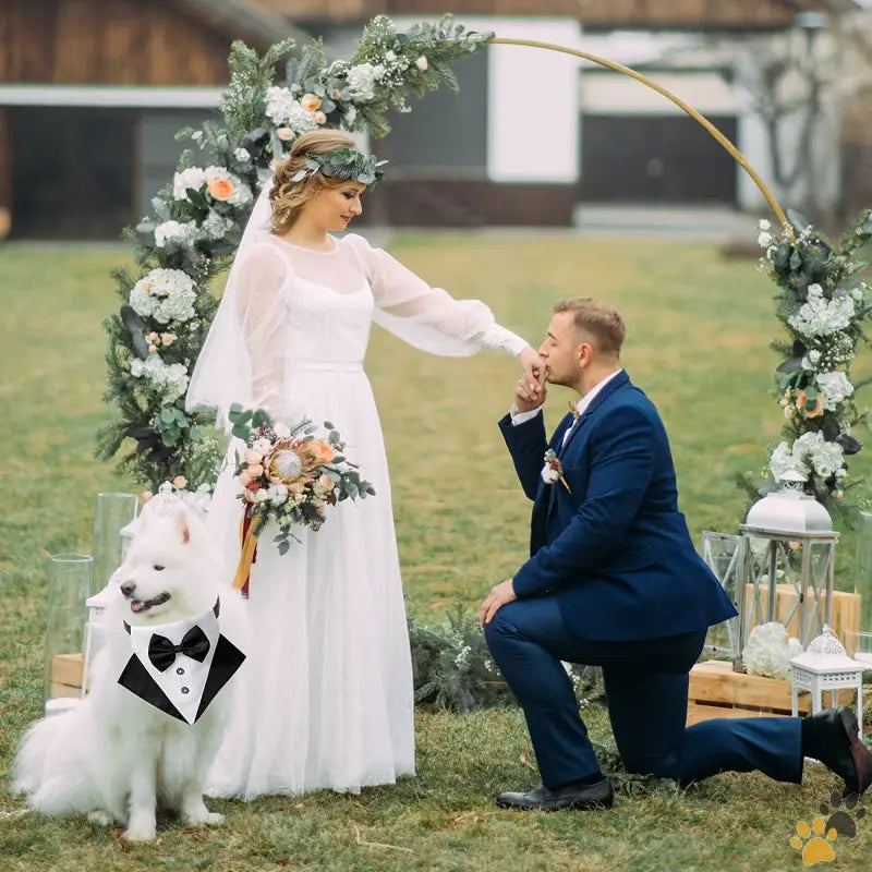 Wedding Dog Bandana Collar - Blackwhite / Large - Formal Dog Tuxedo Wedding Dog Bandana Collar Dog Collar with Bow Tie