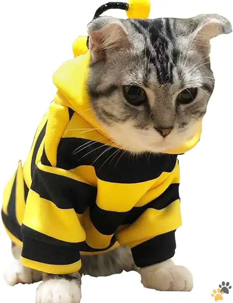 Small Dog Hoodies Funny Pet Sweatshirt - Yellow / X-large - Funny Dog Hoodies Sweatshirt Holiday Cat Sweater Warm Dog