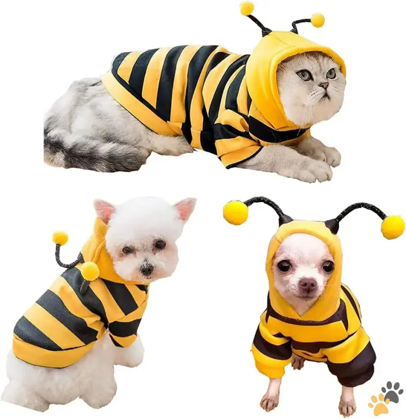 Small Dog Hoodies Funny Pet Sweatshirt - Yellow / X-large - Funny Dog Hoodies Sweatshirt Holiday Cat Sweater Warm Dog