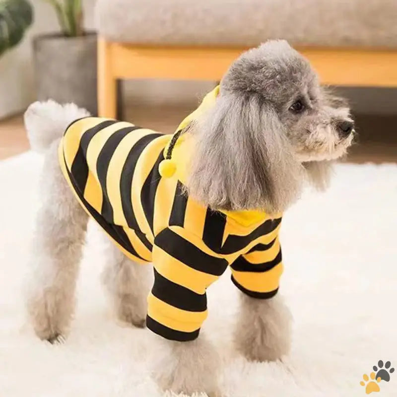 Small Dog Hoodies Funny Pet Sweatshirt - Yellow / X-large - Funny Dog Hoodies Sweatshirt Holiday Cat Sweater Warm Dog