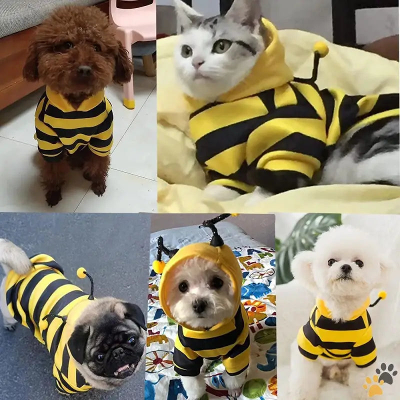 Small Dog Hoodies Funny Pet Sweatshirt - Yellow / X-large - Funny Dog Hoodies Sweatshirt Holiday Cat Sweater Warm Dog