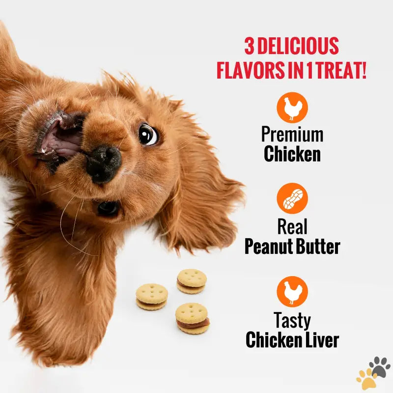 Tasty Triple Flavor Peanut Butter Dog Treats - 3.5 Oz - Good ?N’ Tasty Triple Flavor Stacks Treats for All Dogs