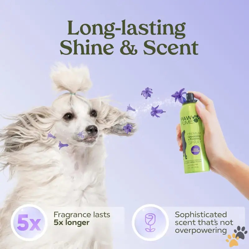 Pawfume’s Grooming Spray - Royal Lavender / 4 Fl Oz (pack of 1) - Grooming Spray Dog Spray Deodorizer Perfume