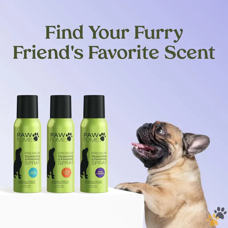 Pawfume’s Grooming Spray - Royal Lavender / 4 Fl Oz (pack of 1) - Grooming Spray Dog Spray Deodorizer Perfume