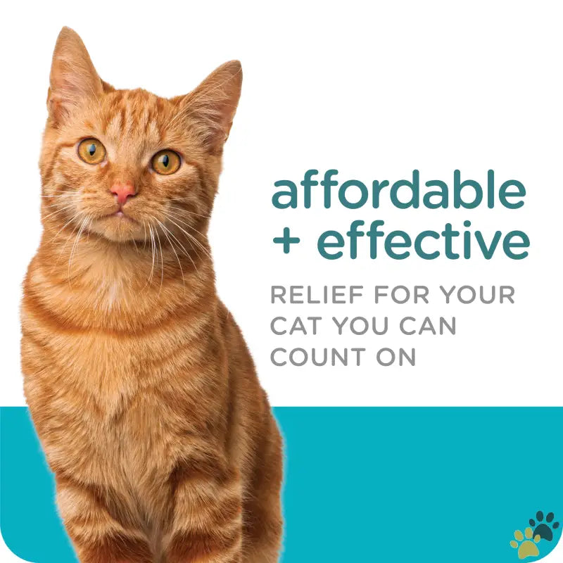 Sergeants Guardian Flea Tick Topical for Cats - 1 - Guardian Flea & Tick Topical for Cats 6 Lbs and Over 3 Count.