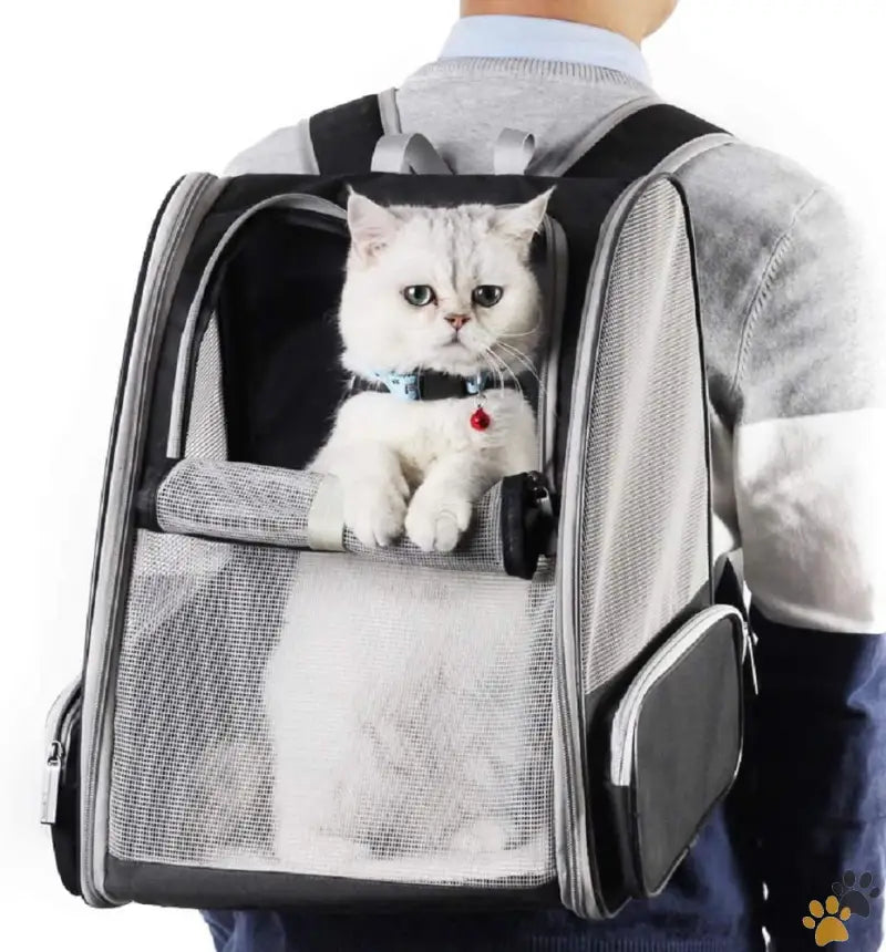 Traveler Bubble Pet Backpack - Black - Innovative Traveler Bubble Backpack Pet Carriers for Cats and Dogs (black)