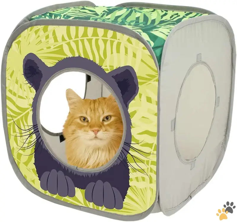 Jungle Cat Cube Kitty City - Jungle Cat Cube Combo Collapsible Cat Cube Cat Bed Tunnel Cat Toy.