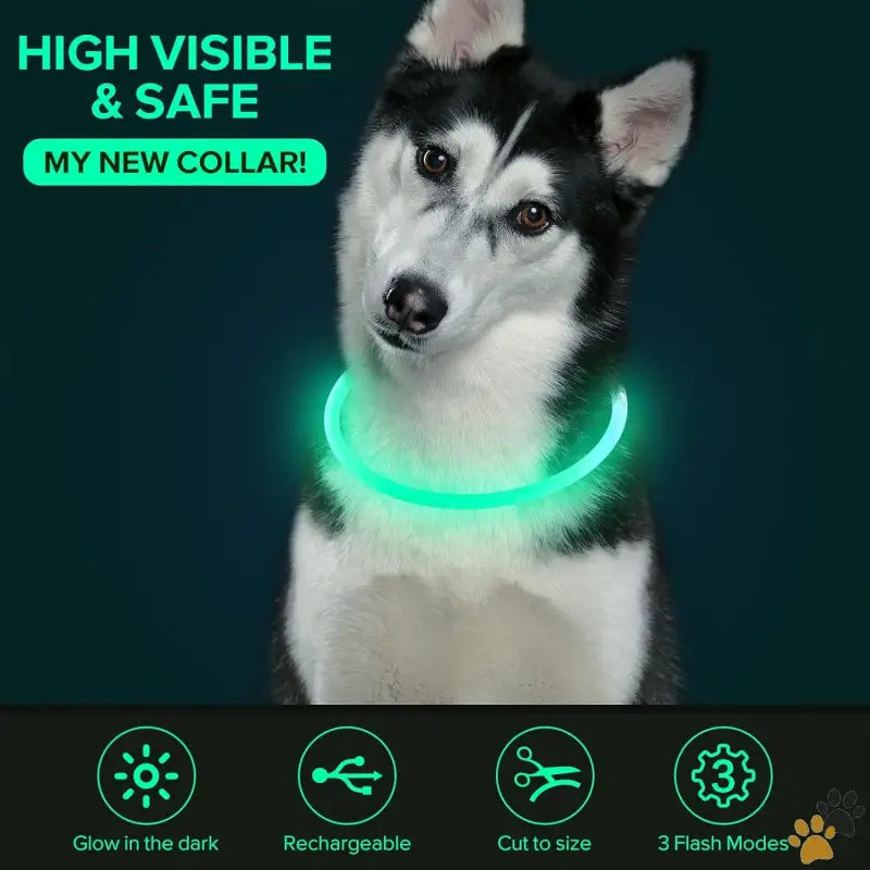 Colaseeme Led Dog Collar - Cyan - Led Dog Collar Light Up Dog Collars 1 Count Usb Rechargeable Tpu Glow Safety Basic