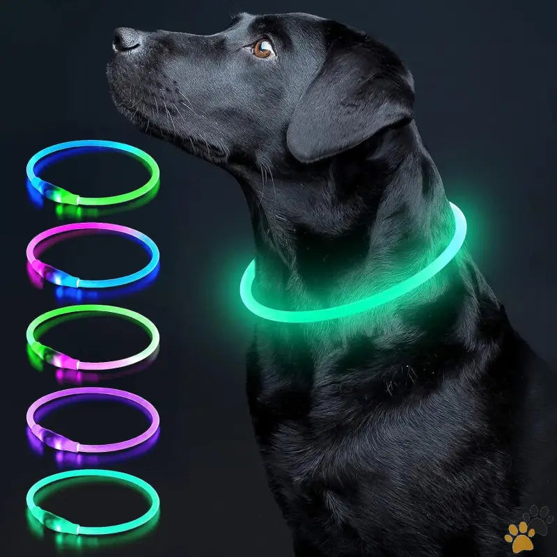 Colaseeme Led Dog Collar - Cyan - Led Dog Collar Light Up Dog Collars 1 Count Usb Rechargeable Tpu Glow Safety Basic