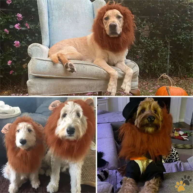 Dog Lion Mane Wig - Dark Brown - Lion Mane for Dog Costumes Dog Lion Mane Realistic Lion Wig for Medium to Large Sized