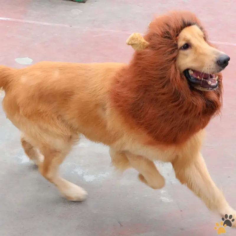 Dog Lion Mane Wig - Dark Brown - Lion Mane for Dog Costumes Dog Lion Mane Realistic Lion Wig for Medium to Large Sized