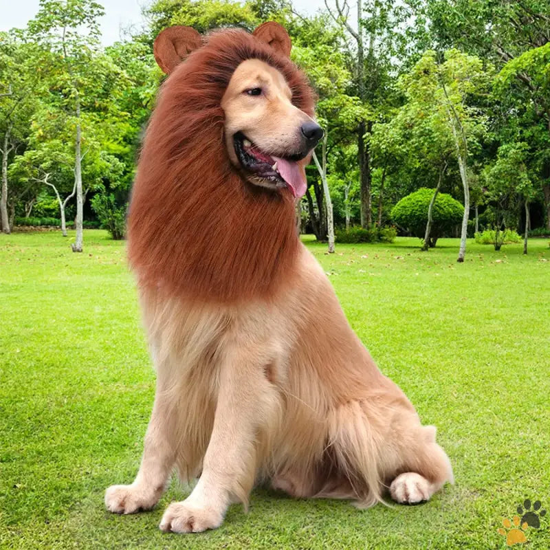 Dog Lion Mane Wig - Dark Brown - Lion Mane for Dog Costumes Dog Lion Mane Realistic Lion Wig for Medium to Large Sized