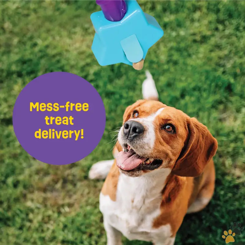 Magic Wand Treat Dispenser Dog Toy - Magic Wand Treat Dispenser: Star - Playful Dog Toy and Puppy Toy Multi-color.