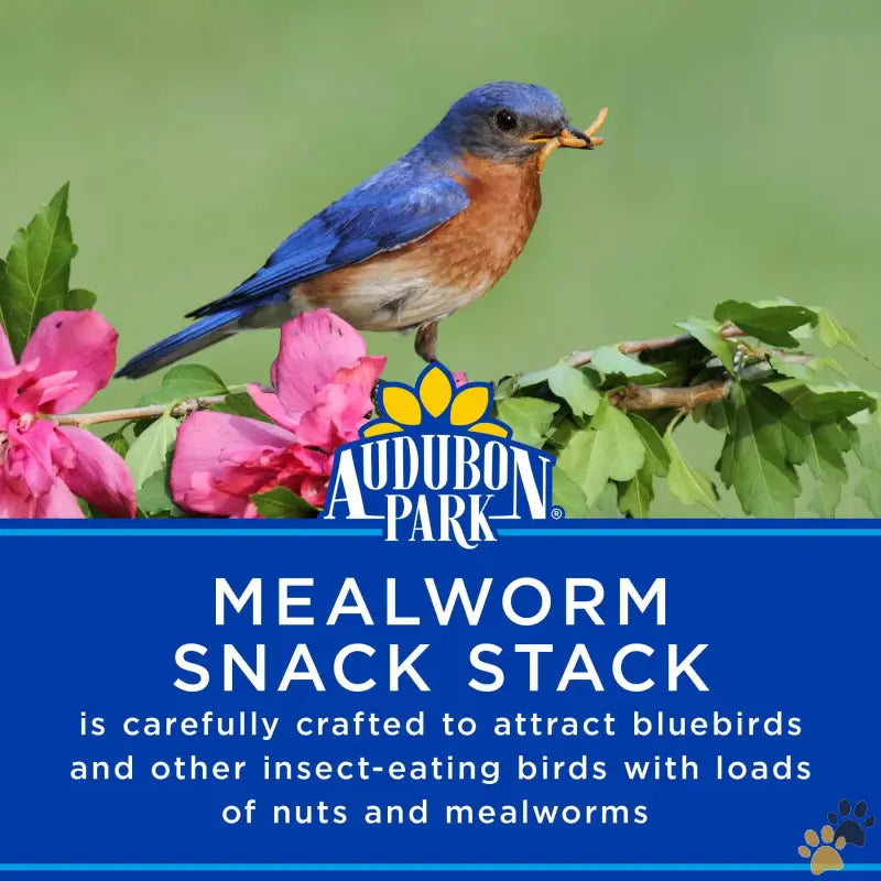 Audubon Park Mealworm Snack Stack Wild Bird Food - Single - Mealworm Snack Stack Wild Bird Food Dry 1 Count Per Pack 7