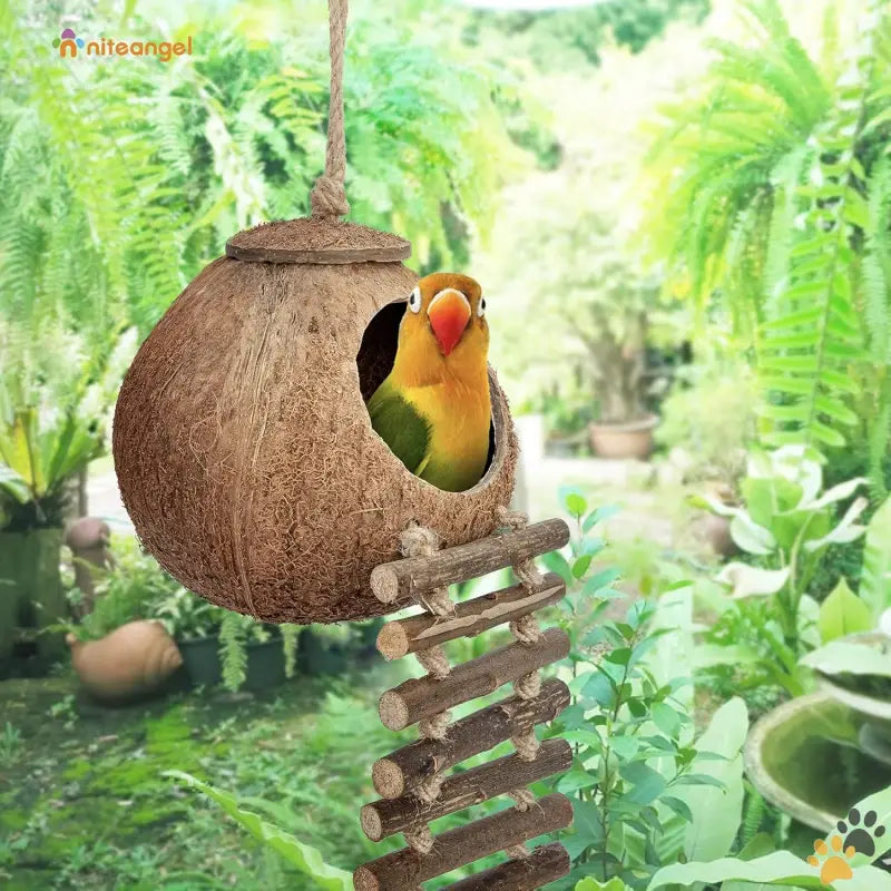 Natural Coconut Bird Toy - Natural Surface / House with Ladder - Natural Coconut Hideaway with Ladder Bird and Small