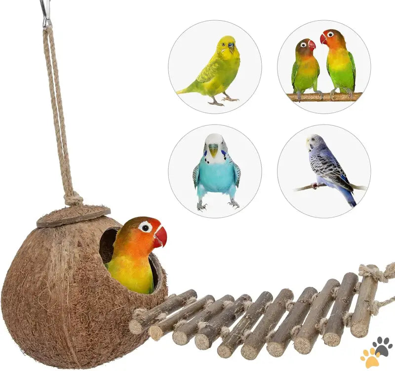 Natural Coconut Bird Toy - Natural Surface / House with Ladder - Natural Coconut Hideaway with Ladder Bird and Small