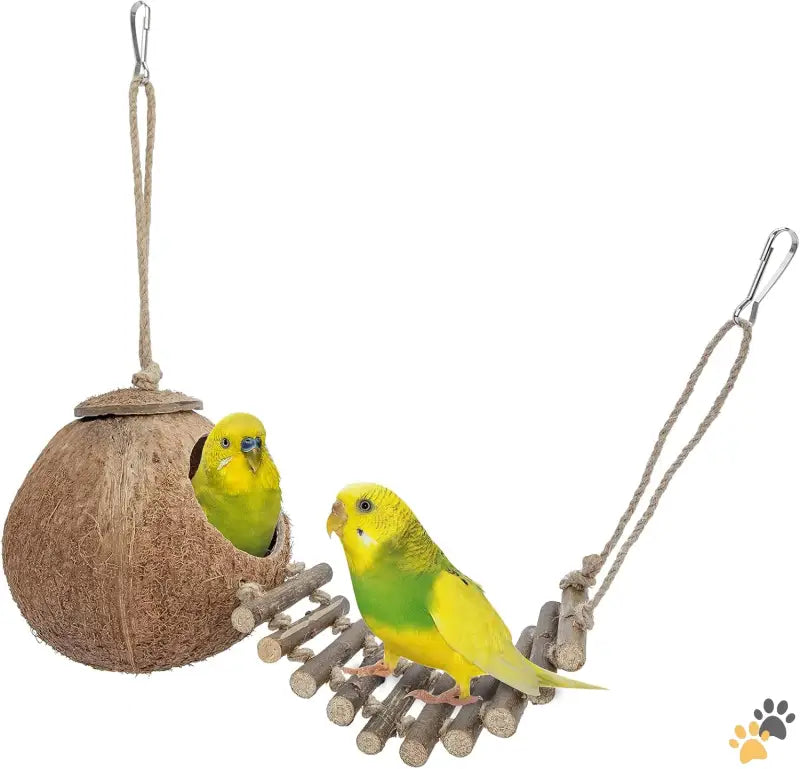 Natural Coconut Bird Toy - Natural Surface / House with Ladder - Natural Coconut Hideaway with Ladder Bird and Small