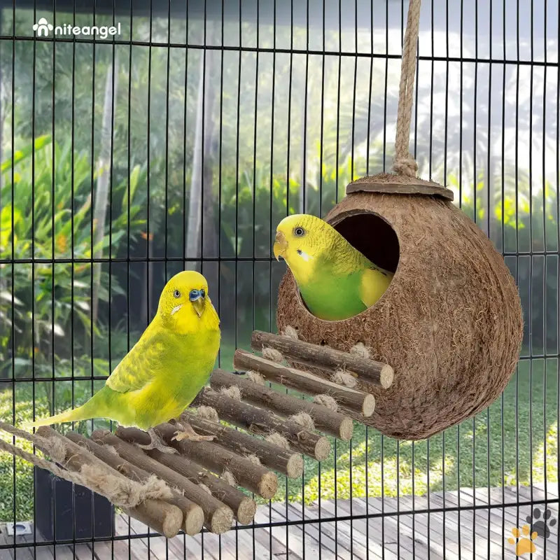 Natural Coconut Bird Toy - Natural Surface / House with Ladder - Natural Coconut Hideaway with Ladder Bird and Small