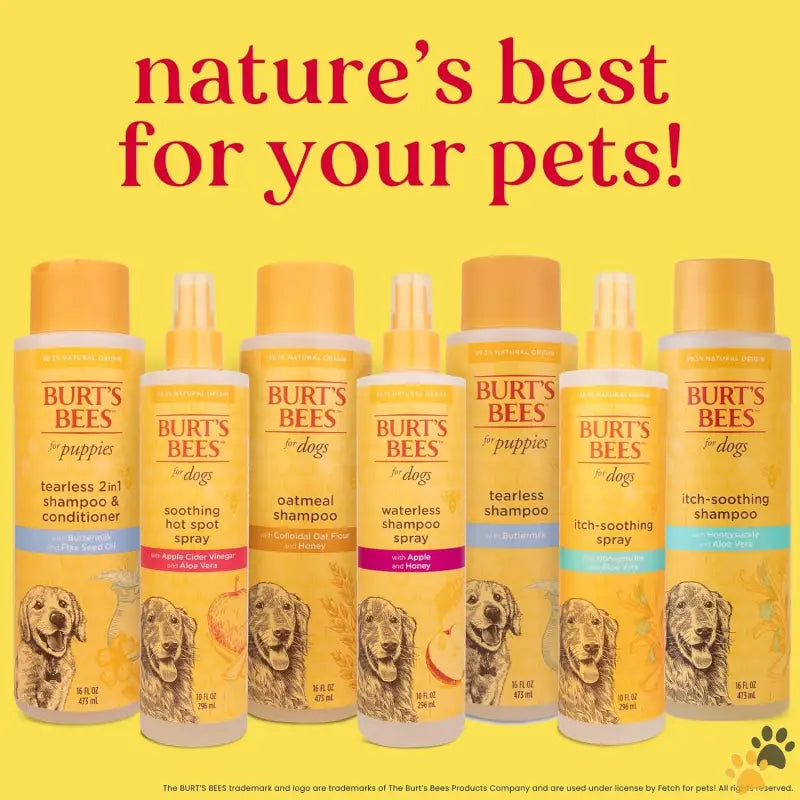 Burt’s Bees Dog Shampoo Spray - 10 Fl Oz (pack of 1) - Naturally Derived Waterless Shampoo Spray with Apple and Honey