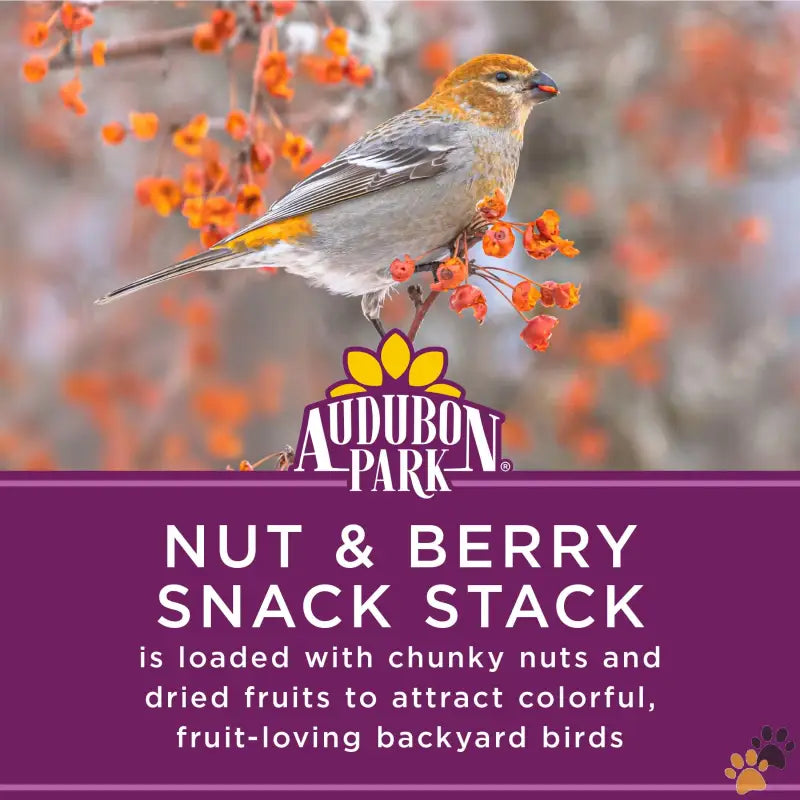 Audubon Park Berry Snack Stack - Single - Nut & Berry Snack Stack Wild Bird Food Dry 1 Count Per Pack 7.5 Oz.